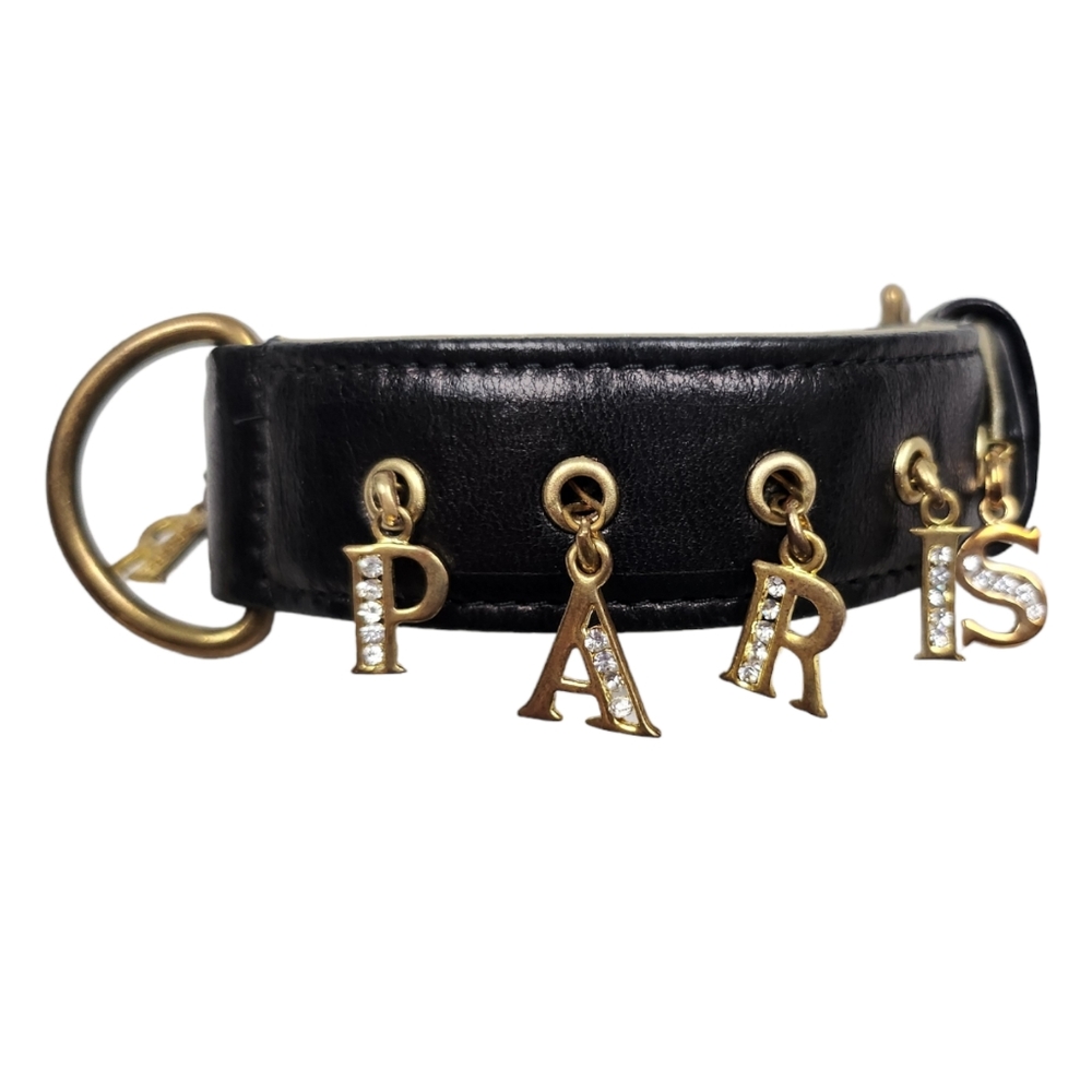 "Amour Paris" spelled out in crystal/metal letters by Dogs in Paris Dog Collar